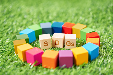 sdgs_certification_linki